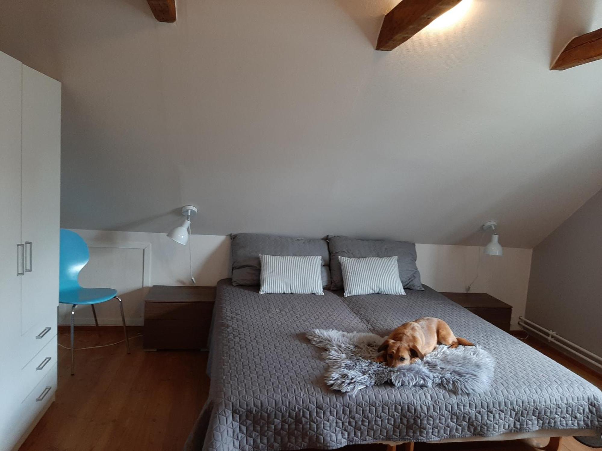 Stor Villa I Lendemarke Stege Esterno foto