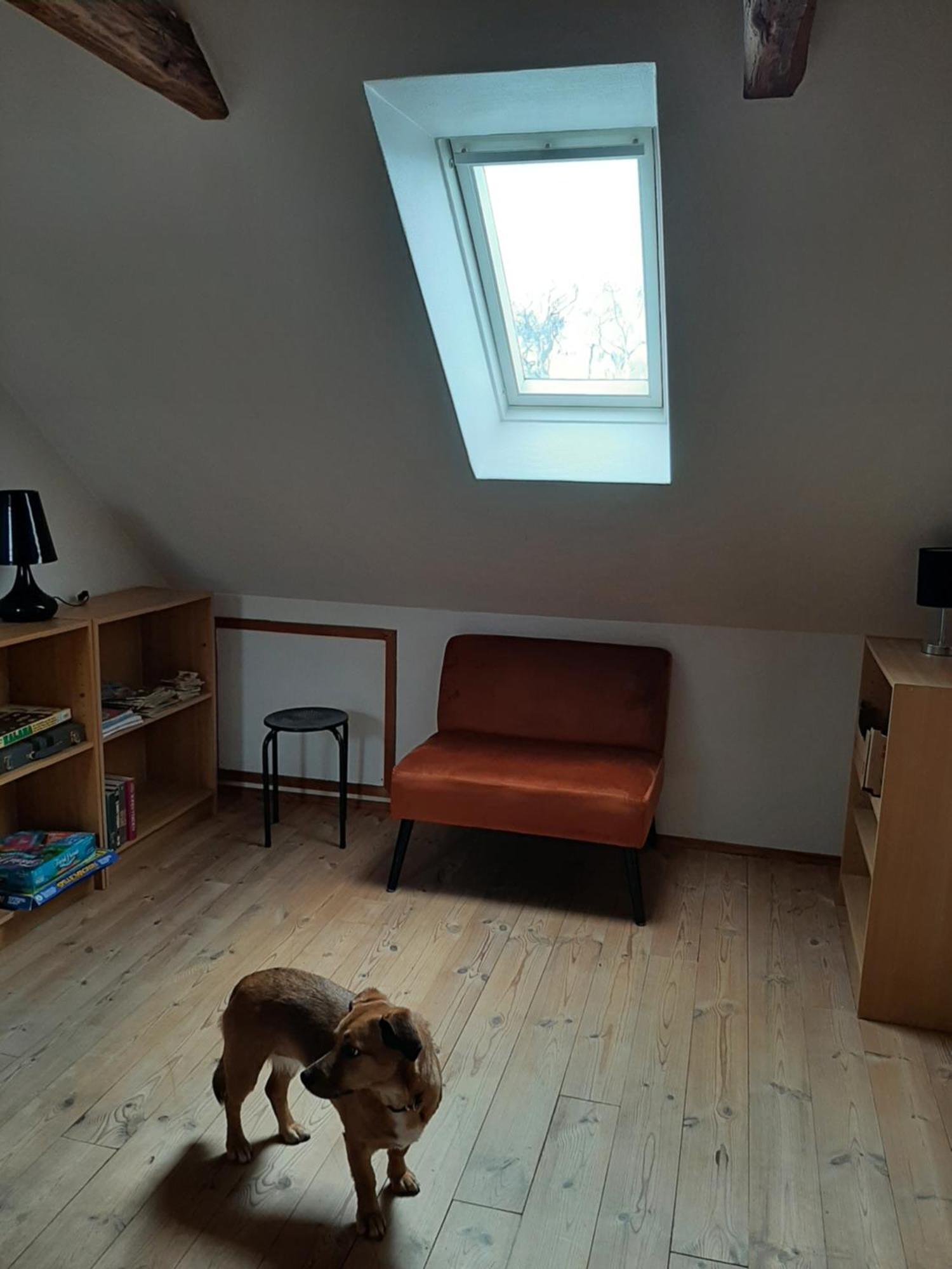 Stor Villa I Lendemarke Stege Esterno foto